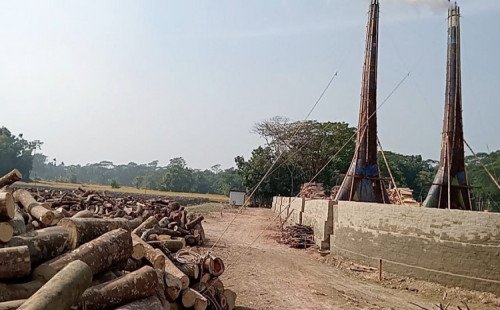 পার্বত্য চট্টগ্রামের ৫৪ ইট ভাটার মালিককে চার লক্ষ টাকা করে হাইকোর্টের জরিমানা