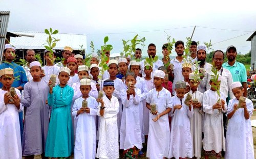 কুষ্টিয়ায় মানবতা সামাজিক সংগঠনের বৃক্ষরোপণ কর্মসূচি