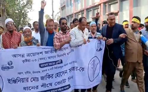 কুষ্টিয়ার চারটি আসনে ধানের শীষের প্রার্থীদের পক্ষে মাঠে সরব হাজারো নেতাকর্মী