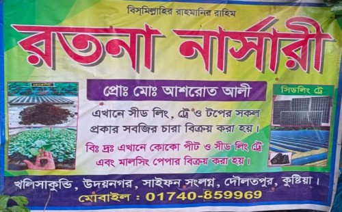 কুষ্টিয়ার ‘রতনা নার্সারী সবজির মানসম্মত চারা, সিডলিং ট্রে ও কৃষি উপকরণে কৃষকের নির্ভরতা