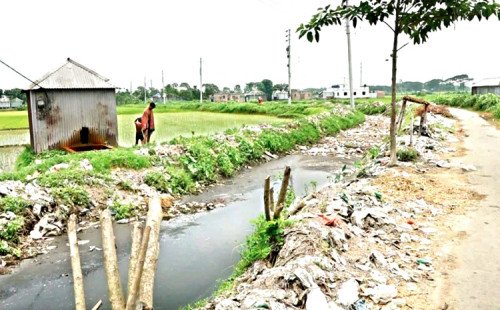 কুষ্টিয়ার খাজানগর খালে ছাইয়ের আস্তর