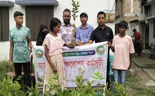 মুজিবনগর সামাজিক উন্নয়ন সংস্থার উদ্যোগে মাসব্যাপী বৃক্ষরোপণ কর্মসূচি