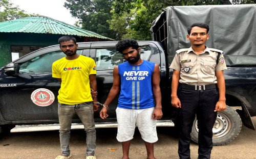 কুষ্টিয়ায় টাপেন্টাডলসহ দুই মাদক কারবারি আটক, মোবাইল কোর্টে সাজা