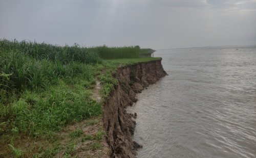 কুষ্টিয়ায় পদ্মার ভয়াবহ ভাঙন বিলীন শত শত বিঘা ফসলি জমি, সর্বস্ব হারানোর শঙ্কায় পদ্মাপাড়ের কৃষক