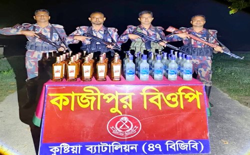 কুষ্টিয়া সীমান্তে বিজিবির পৃথক অভিযান, ৮ লাখ টাকার মাদক উদ্ধার